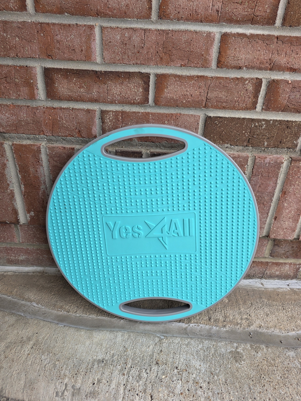 Turquoise Balance Board with Dual Handles